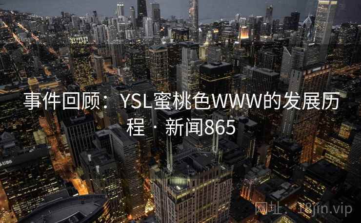 事件回顾：YSL蜜桃色WWW的发展历程 · 新闻865