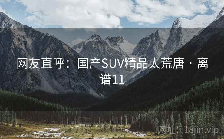 网友直呼：国产SUV精品太荒唐 · 离谱11