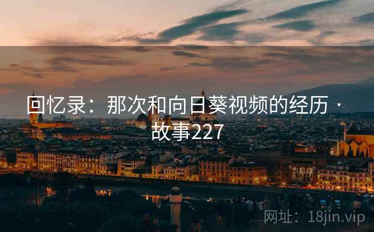 回忆录:那次和向日葵视频的经历 · 故事227