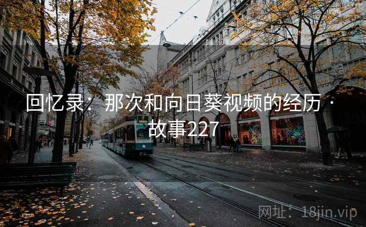 回忆录:那次和向日葵视频的经历 · 故事227